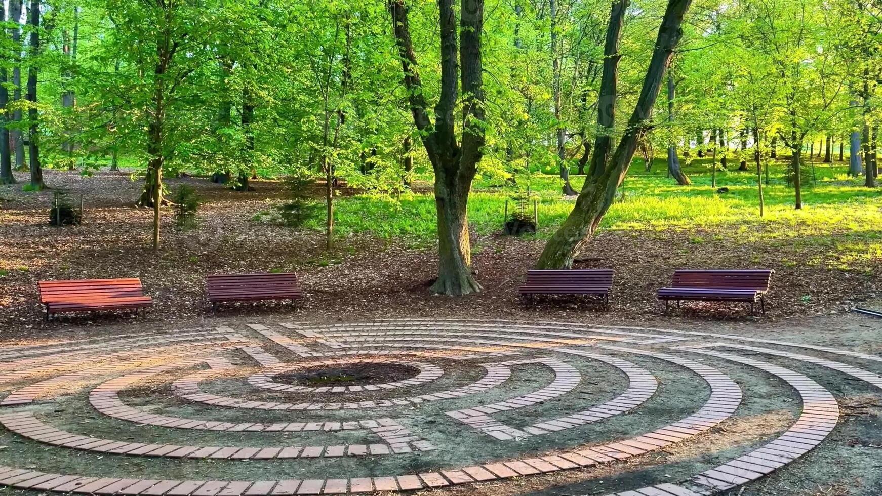 A circular maze in the middle of a park photo