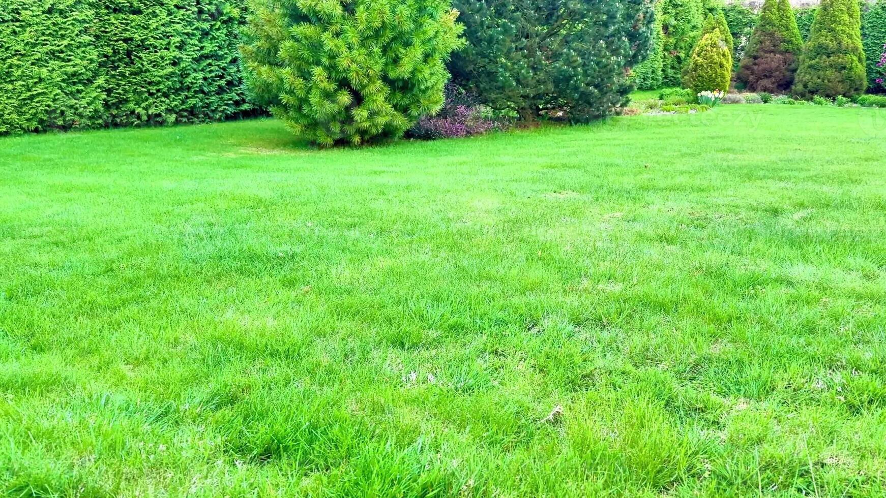 A serene landscape with a lush green field and vibrant trees. This tranquil scene showcases natures beauty, conveying peace and relaxation photo