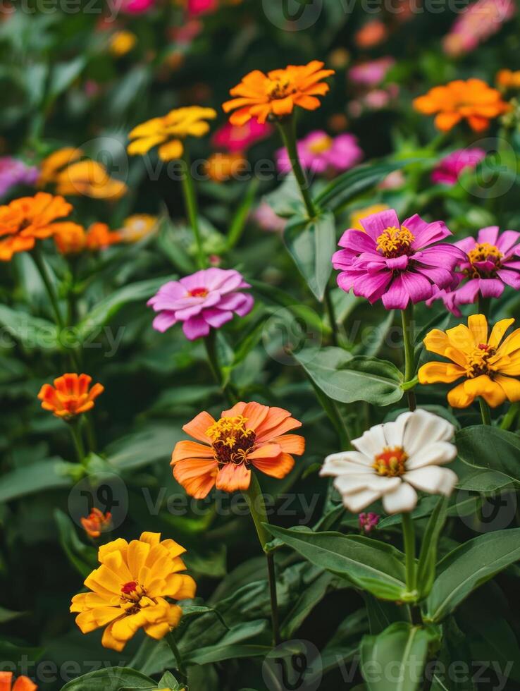 Colorful field of flowers in vibrant shades of green photo