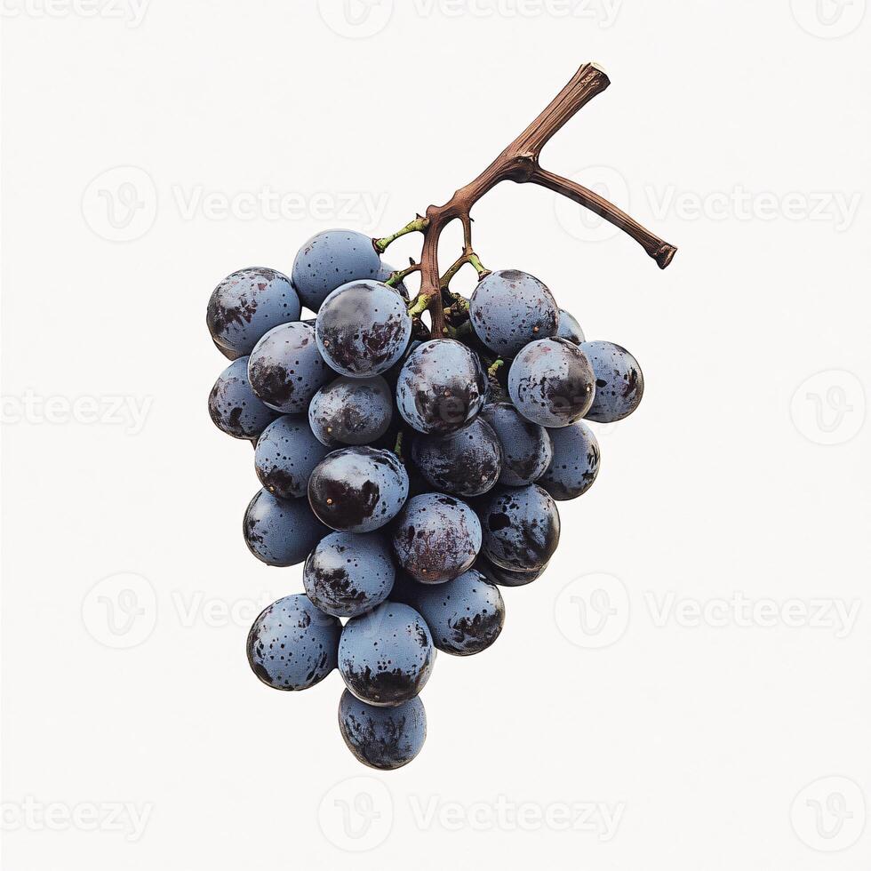 Lush green grape cluster elegantly displayed on crisp white backdrop photo