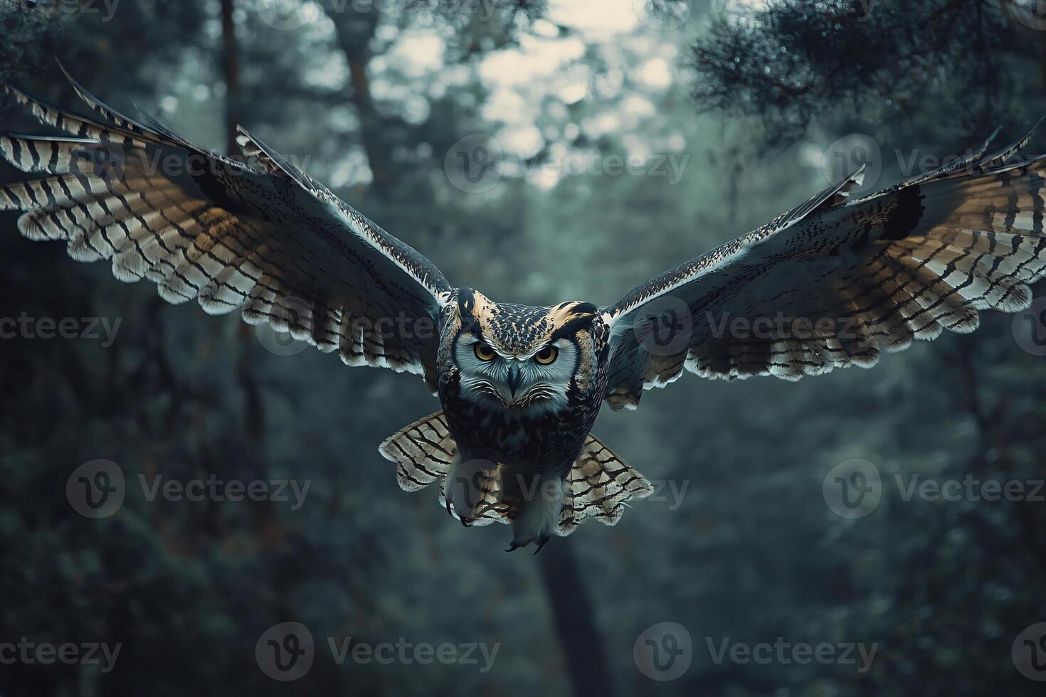 Majestic Siberian Eagle Owl Captured Mid-Flight with Wings Outstretched photo