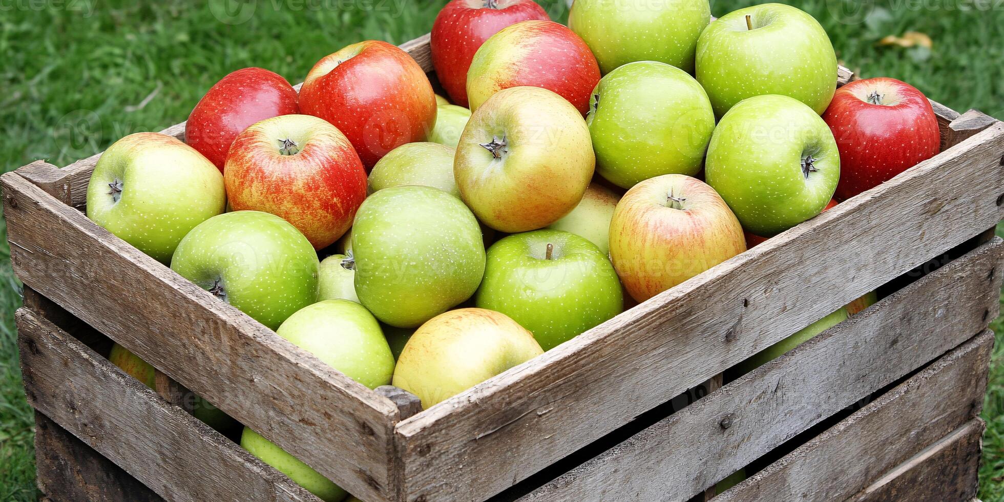 A Rustic Wooden Crate Overflowing with Juicy Green and Red Apples in an Orchard photo