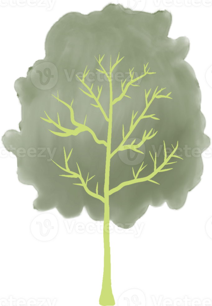 Tree watercolor design element png