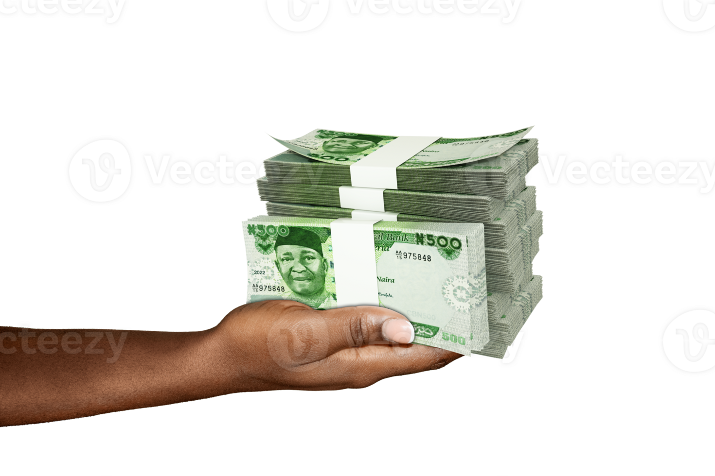 Hand Holding 3D rendering of stacks of 500 Nigerian Naira notes isolated on transparent background png