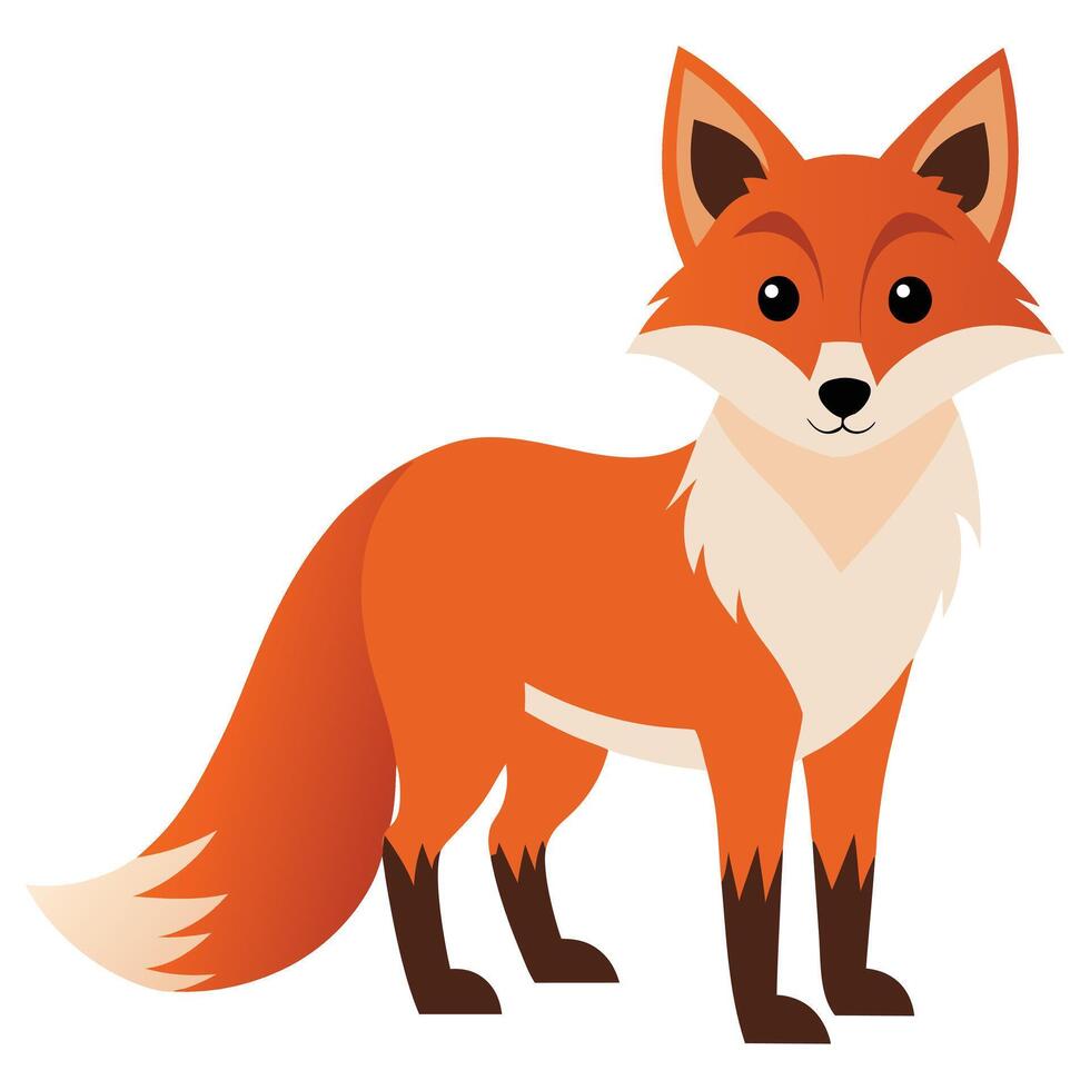 fox illustration arts design now fox vector