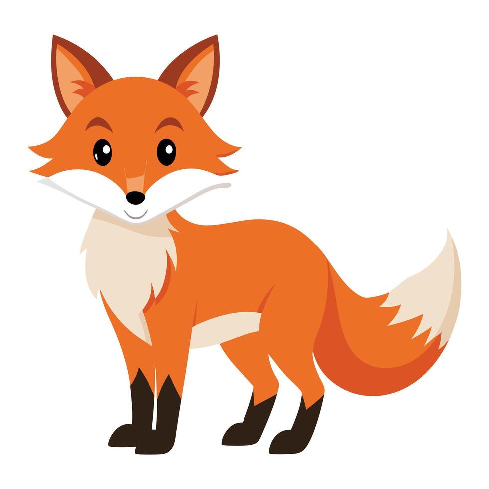 fox illustration arts design, color full fox vector