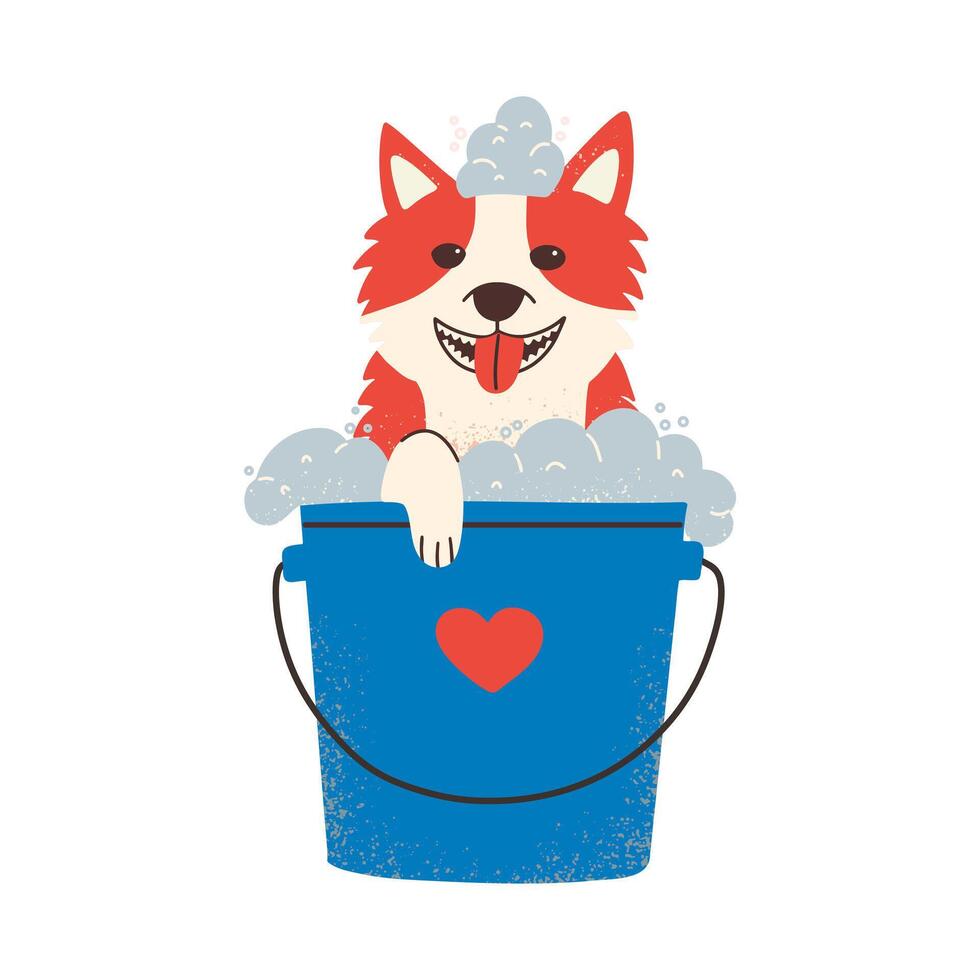 Funny cute puppy washes in a bucket with foam and water. Pet grooming. vector
