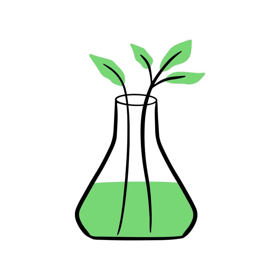 Green sprout in a flask. Hydroponics conceptual Hand draw icon. Clipart design. vector