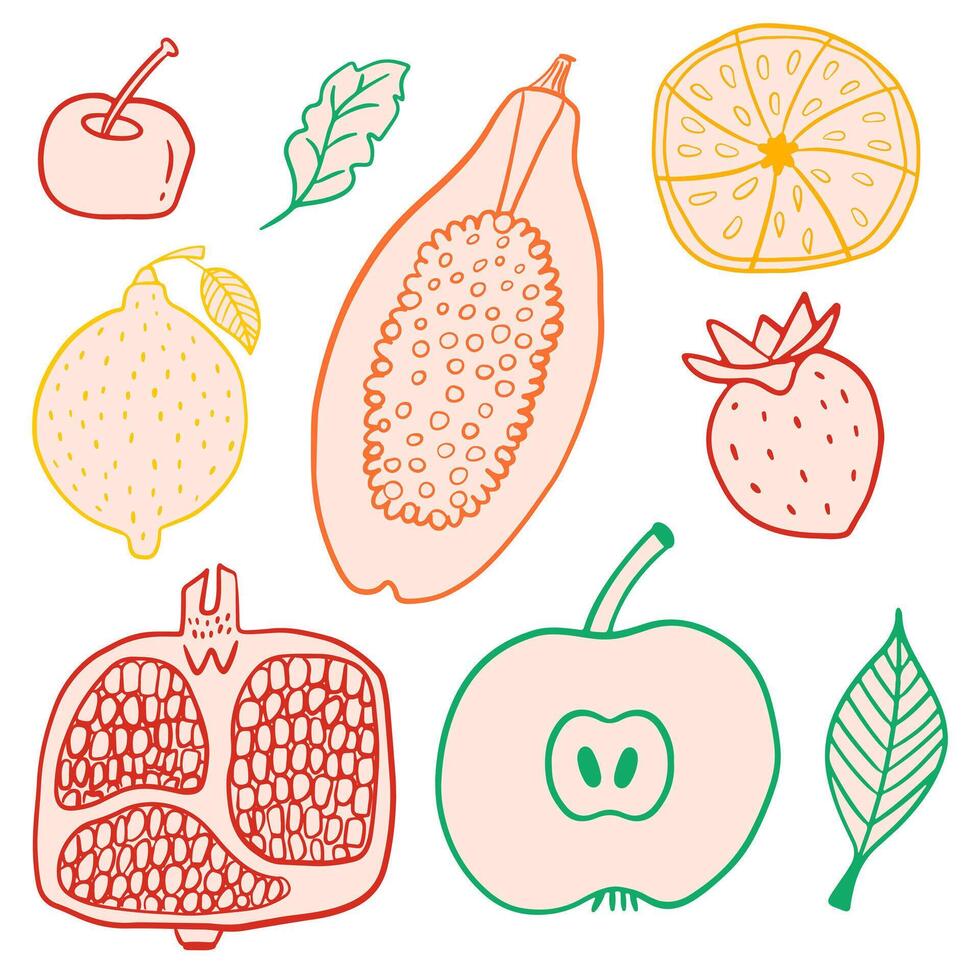 Set of colorful hand drawn fruits, papaya, lemon, apple, pomegranate, orange. Design elements in doodle style vector