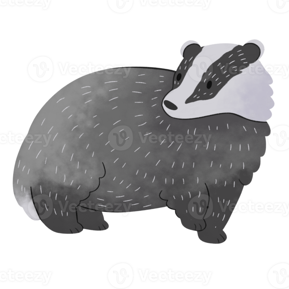 badger clipart illustration png