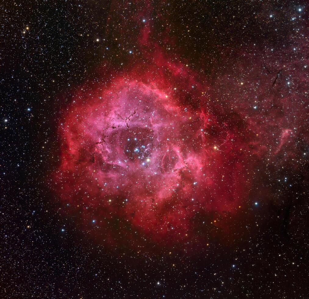 Rosette Nebula in constellation monoceros. photo