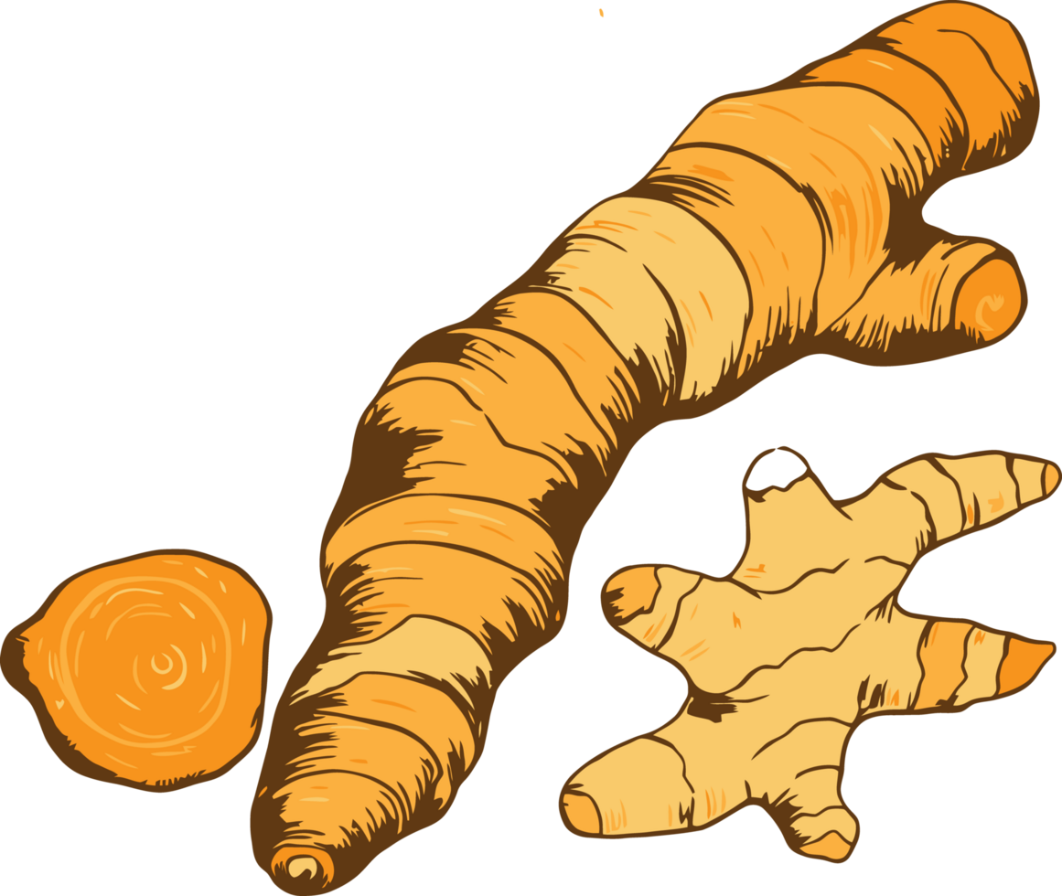 A ginger root and a piece of ginger png