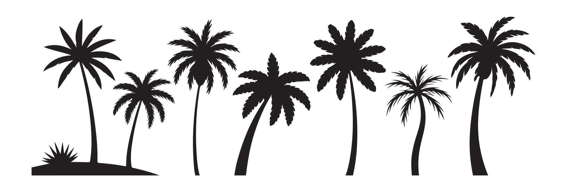 Set of black silhouetted palm trees on a white background for tropical design and decoration vector