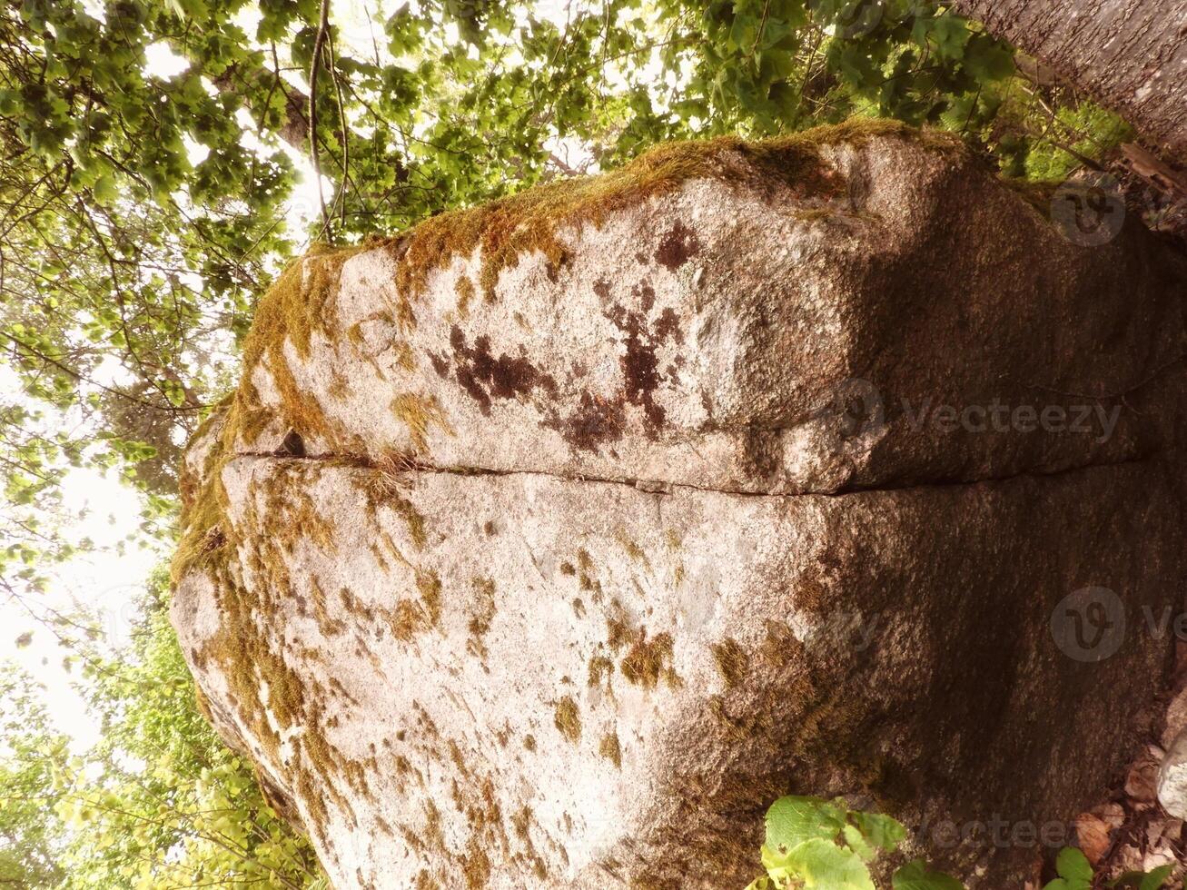 A large rock in the woods photo