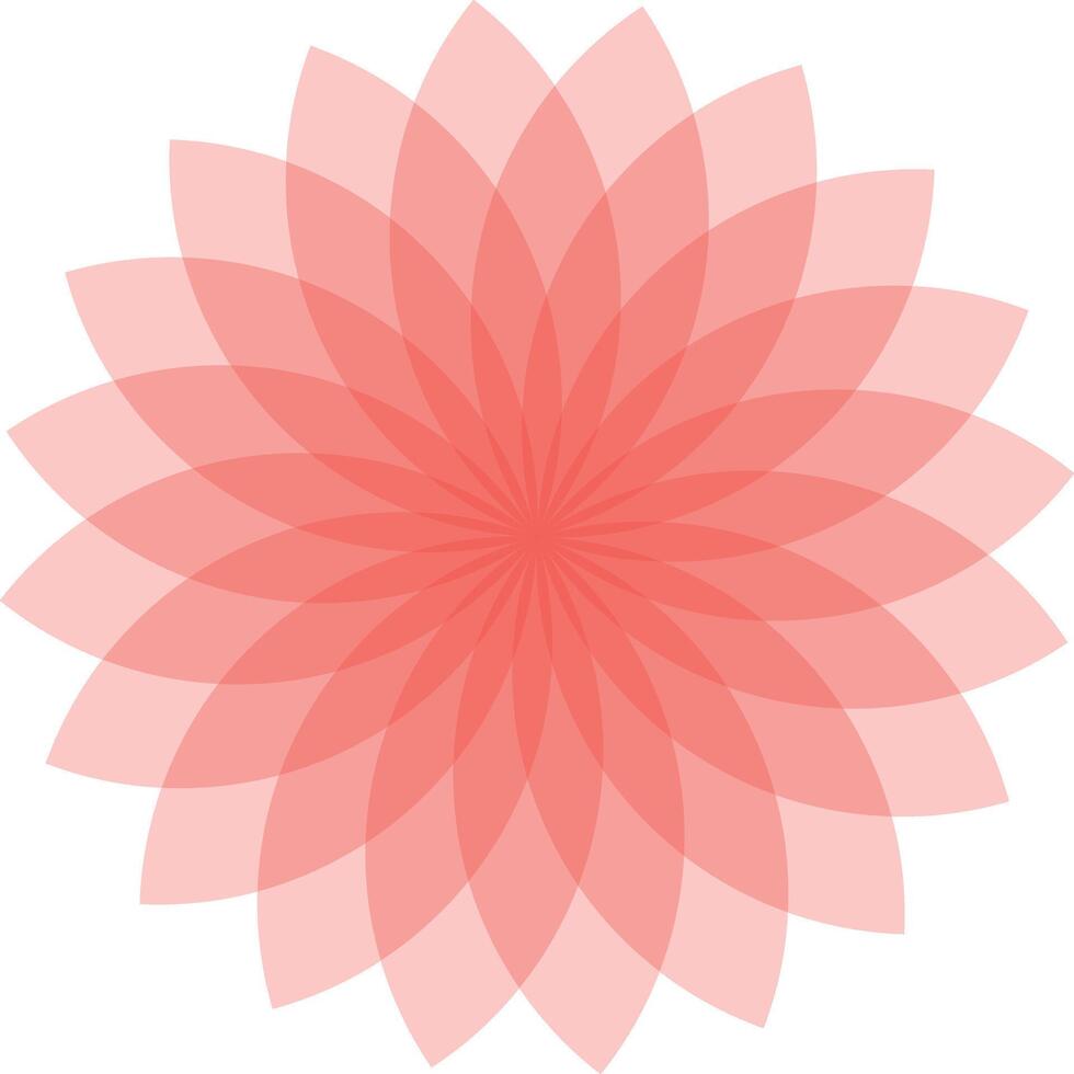 Pink flower mandala abstract design vector
