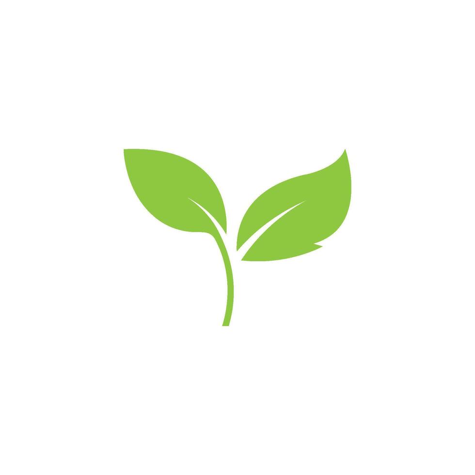 Green leaf icon vector