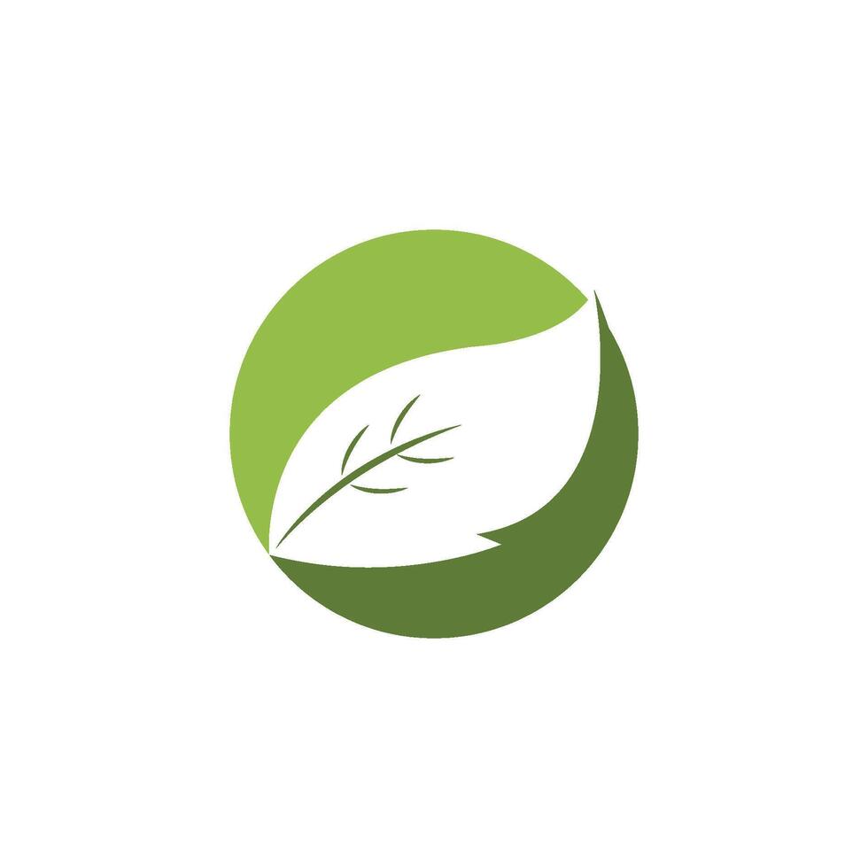 Leaf icon design vector