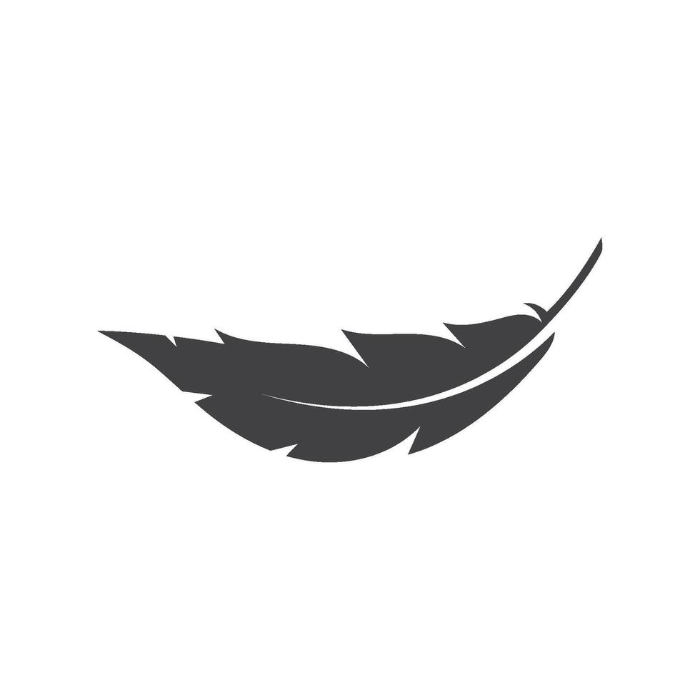 Feather logo icon design vector
