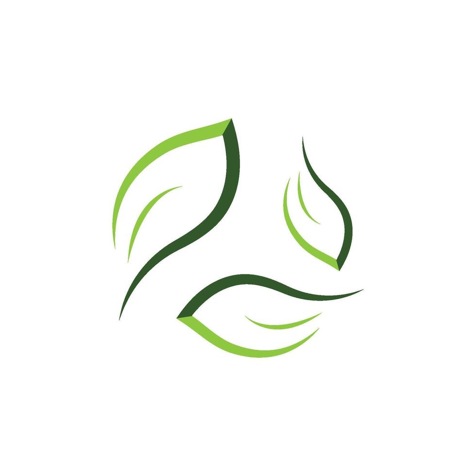 Logo Green leaf icon vector