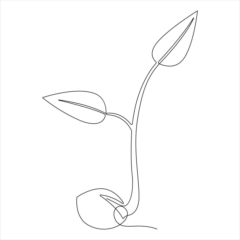 Simple One Line Botanical Plant Drawing Minimalist Eco Nature Art vector