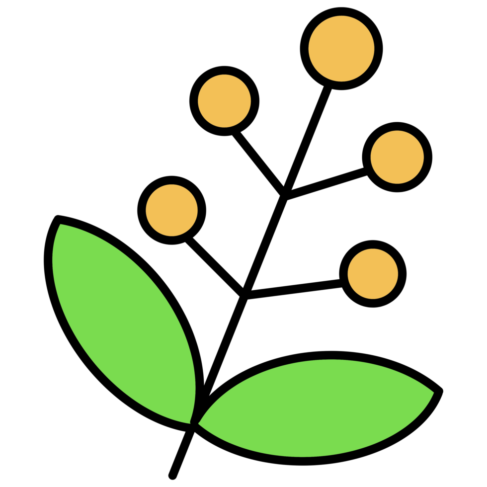 flower mini for decoration graphic design png
