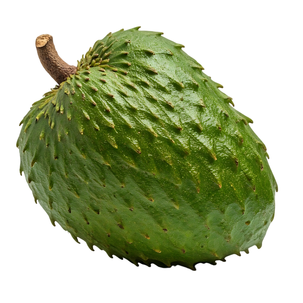 A vibrant green soursop fruit with tiny protrusions is isolated on a transparent backdrop. png