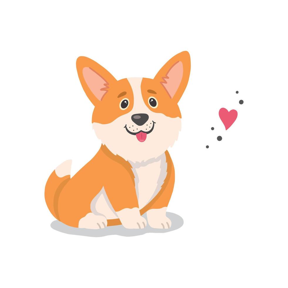 Corgi. illustration of cute puppy corgi isolated on white background vector