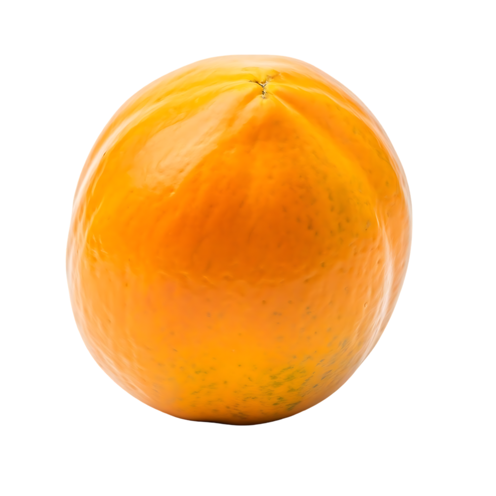 Isolated ripe papaya fruit with a smooth orange skin and transparent background in studio shot. png