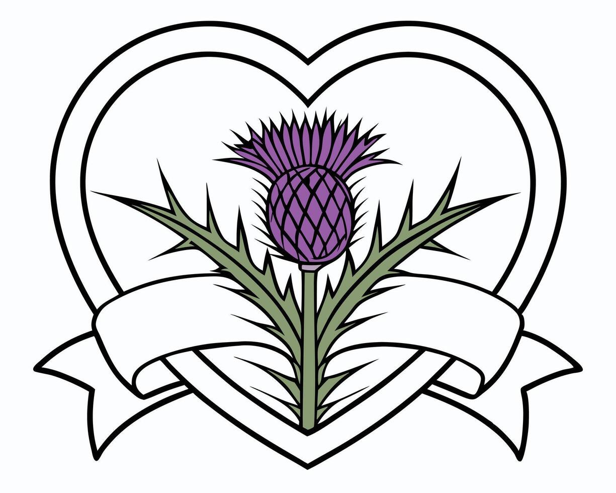 A colorful illustration of a scottish thistle emblem within a heart and ribbon design vector