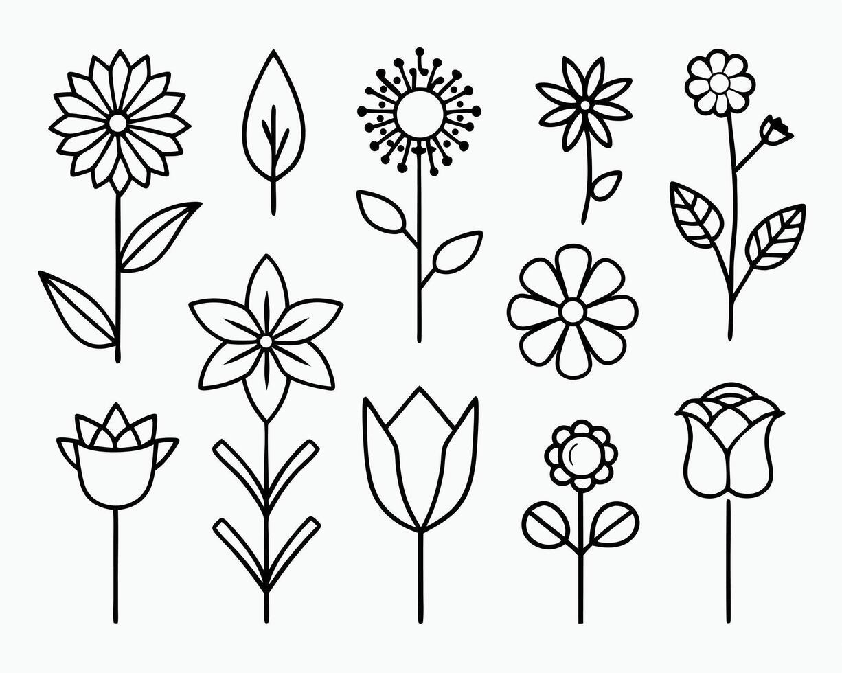 Simple black and white floral illustrations featuring various different flower and leaf designs vector