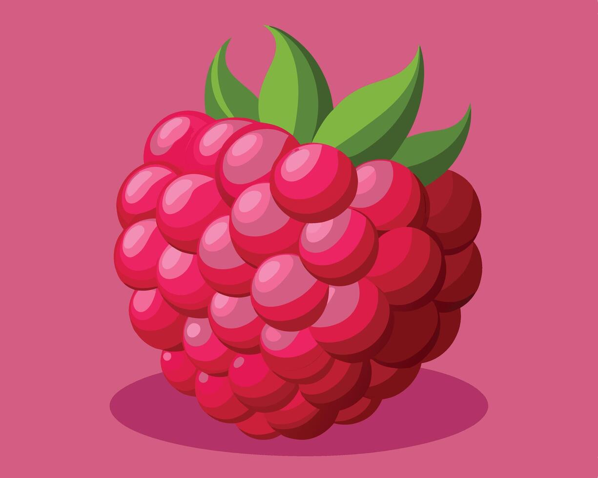 Vibrant and delicious illustrated raspberry fruit with green leaves on pink background vector