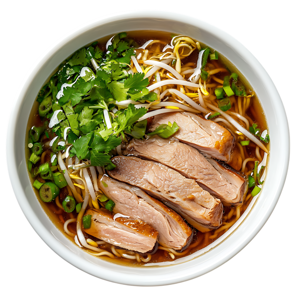 Delicious duck noodle soup in bowl isolated on transparent background png