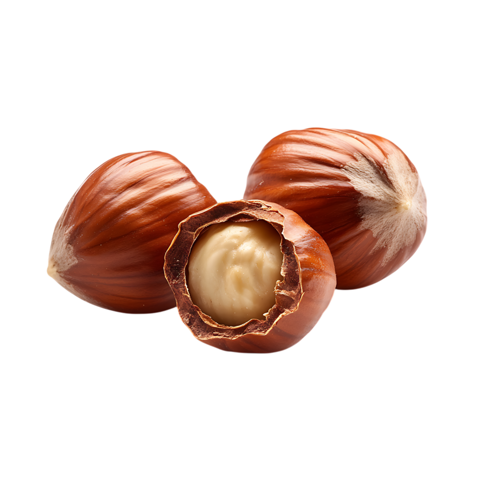 Three hazelnuts with one open showing kernel isolated on transparent background png