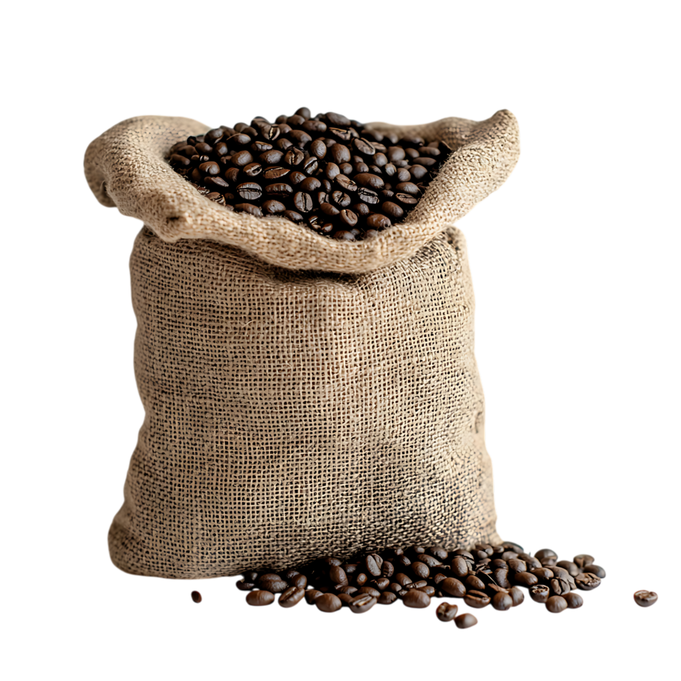 Burlap sack of roasted coffee beans isolated on transparent background png