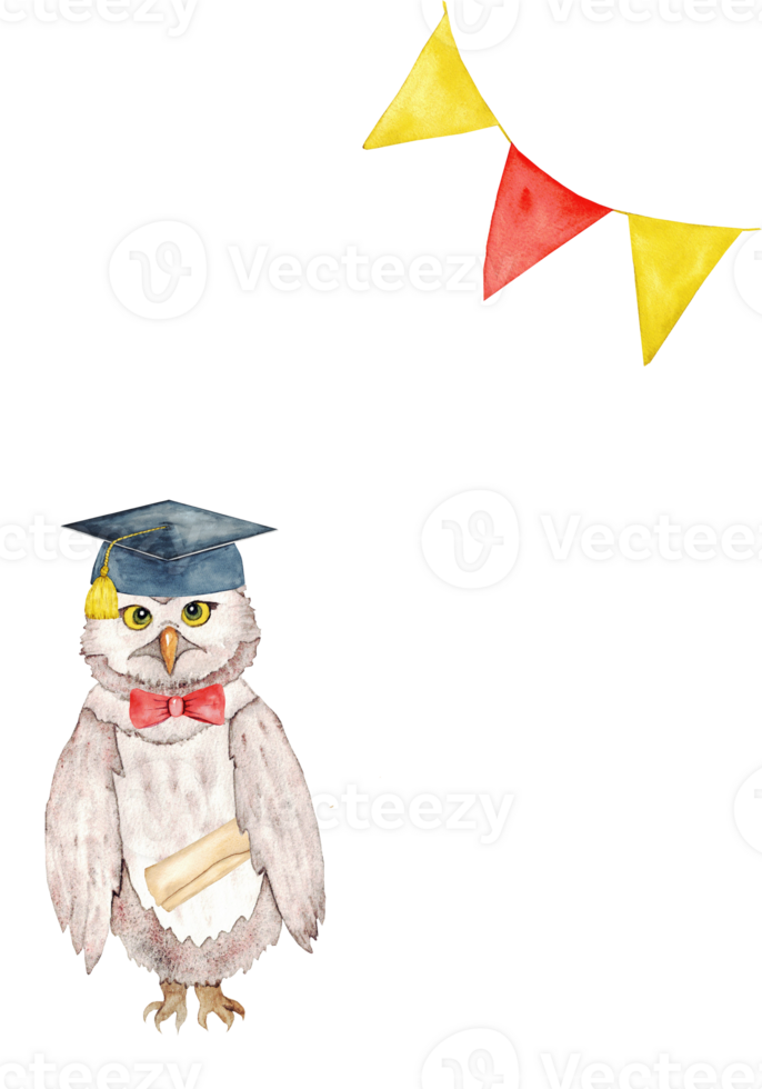 Graduation celebration with owl and festive flags design. End of course. Vertical banner, card, invitation, poster. Copy space. Isolated. Hand drawn. Template for education concept png