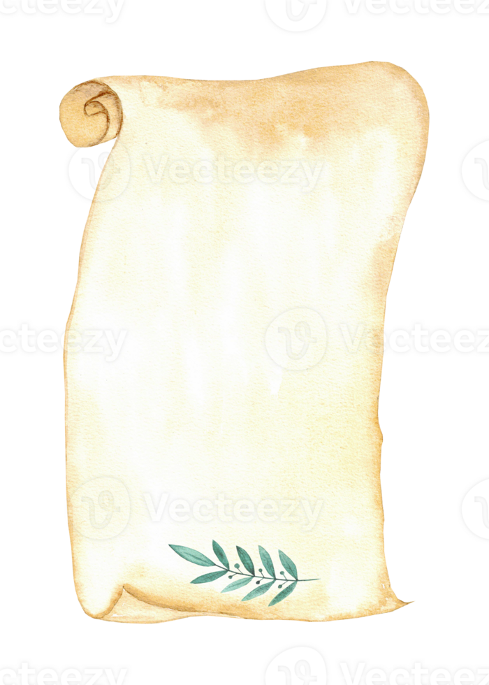Elegant vintage scroll with green leaf element for invitations and announcements. Vertical template for certificate, diploma, card. Copy space. End of course. Back to school. Education concept png