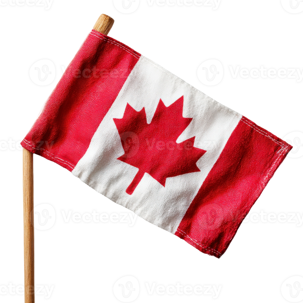 Canadian flag on a stick isolated on black background png