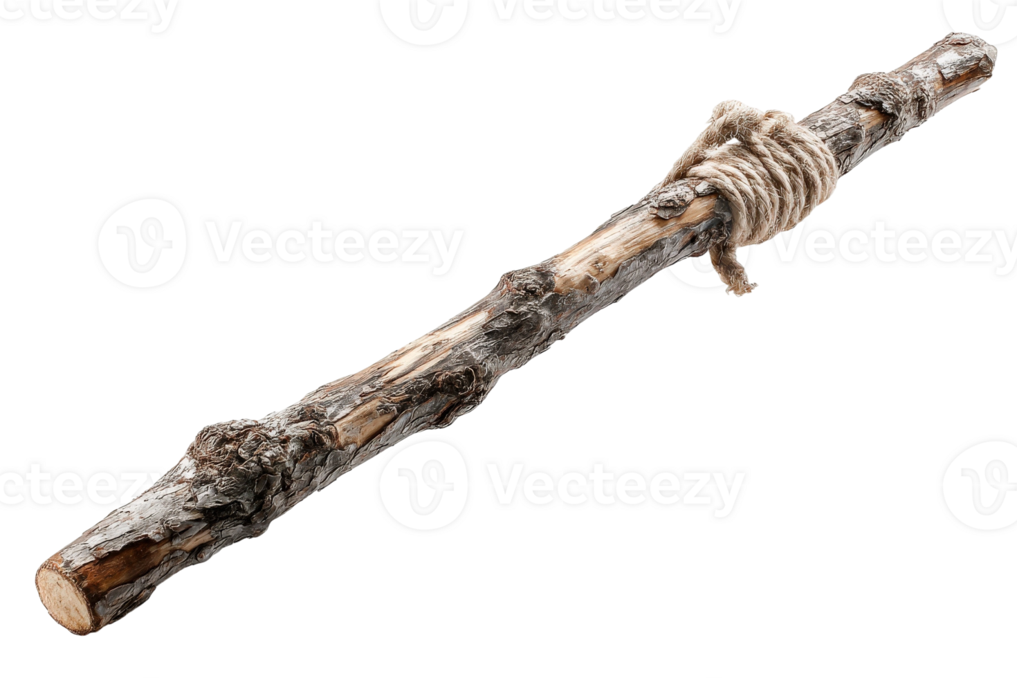 A stick with a rope tied to it png