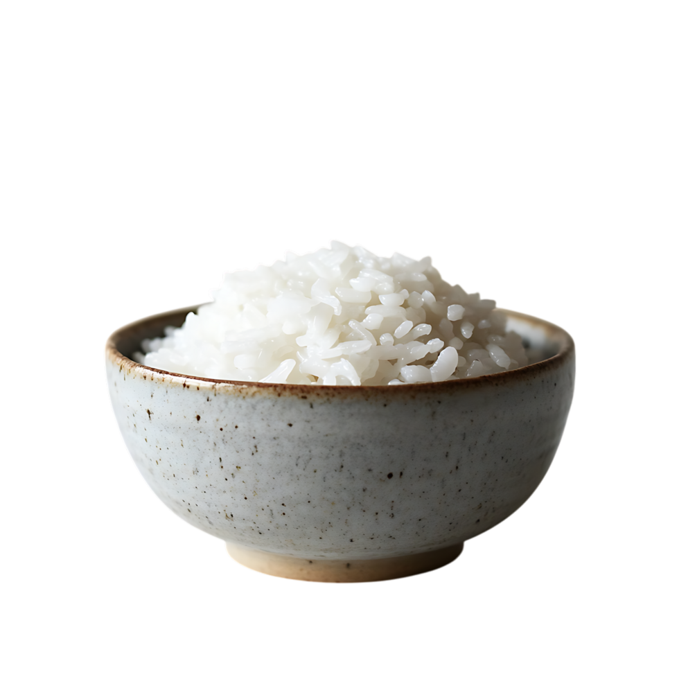 Cooked white rice in a speckled bowl isolated on transparent background png