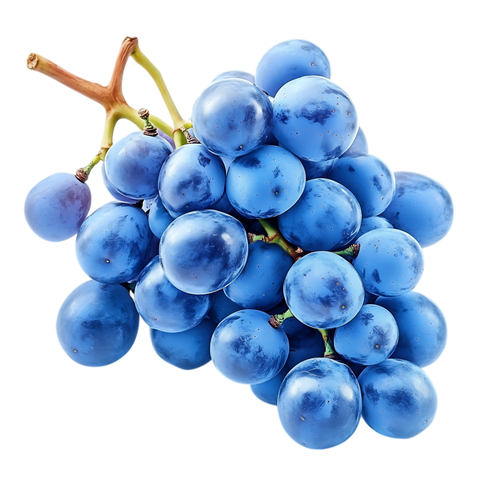 Bunch of blue grapes isolated on transparent background png