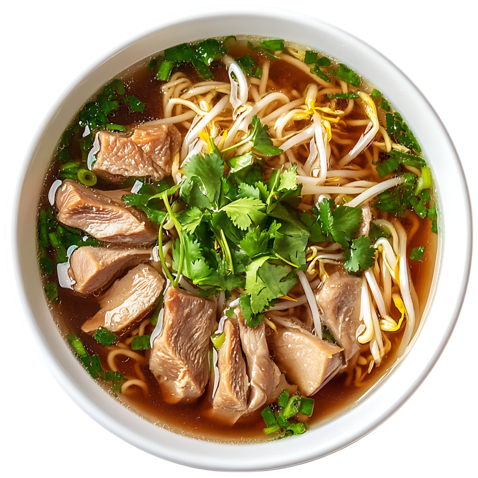Delicious chicken noodle soup in bowl isolated on transparent background png