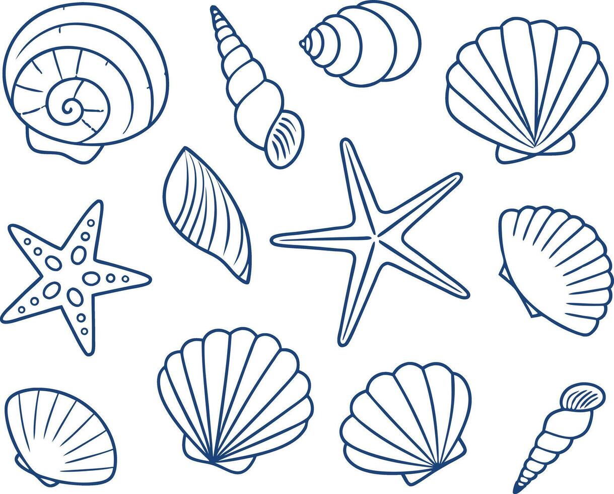 Hand-drawn illustration of various seashells and a starfish featuring simple outline design on white background vector