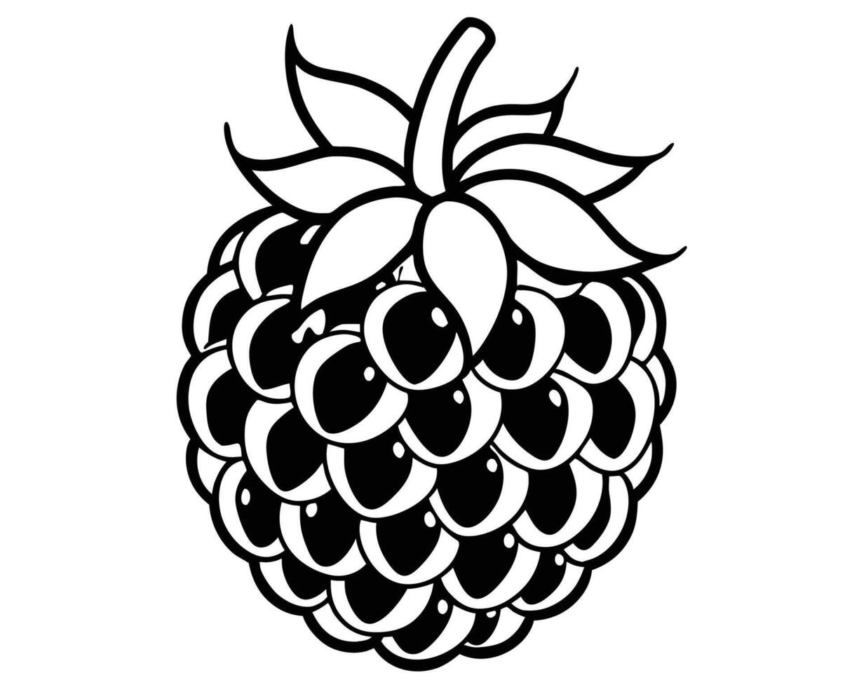 illustration of a black and white blackberry fruit isolated on white background vector