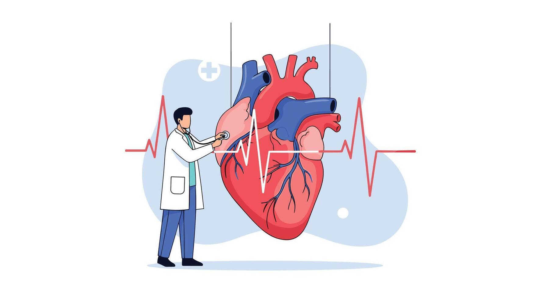 Doctor Examining Heart Health and Cardiovascular System Important for Healthy Living and Medicine vector