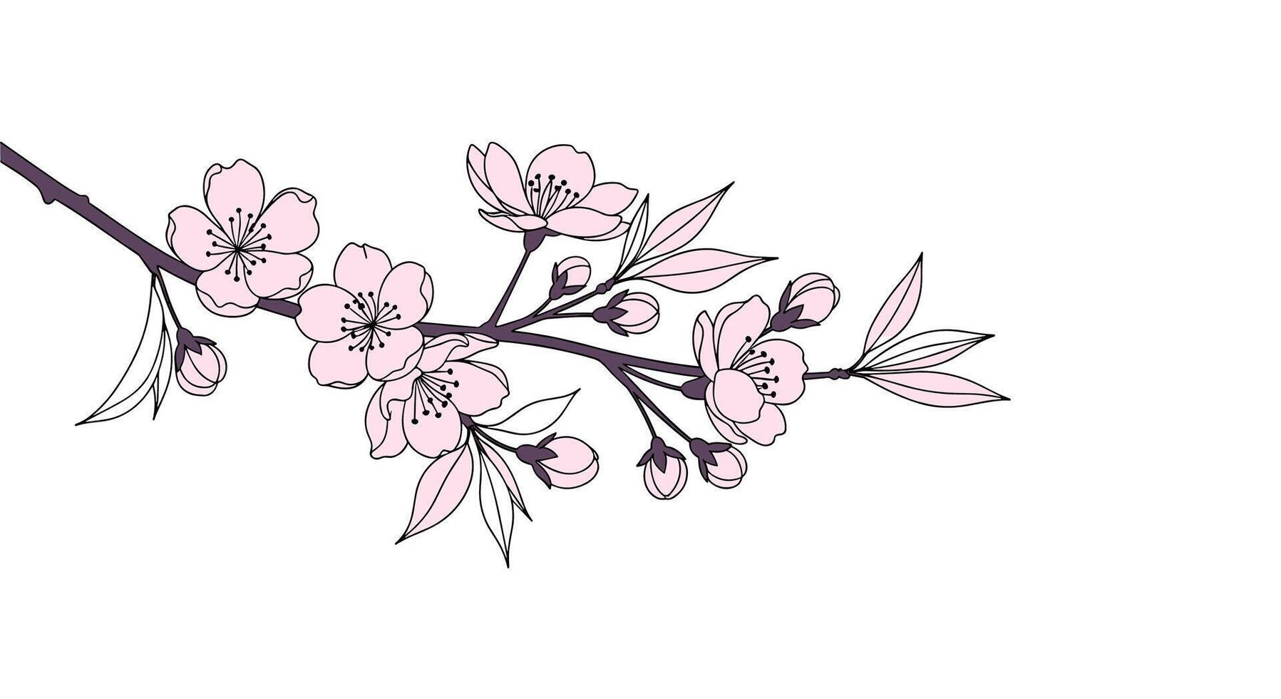 Embrace Nature with Stunning Cherry Blossom Photography A Comprehensive Guide and Ideas vector