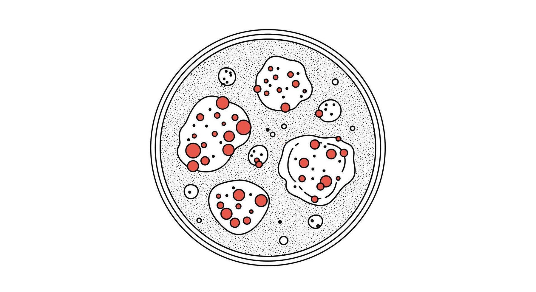 A Delicious Culinary Delight Homemade Pizza with Fresh Toppings Recipe for Cooking Enthusiasts vector