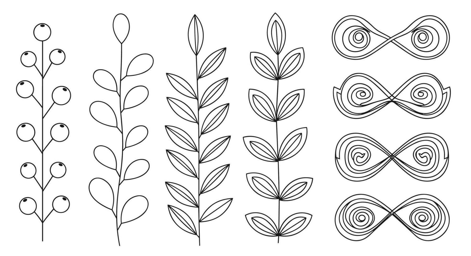 Botanical Illustrations with Different Leaves and Berries on White Background Detailed Line Art vector