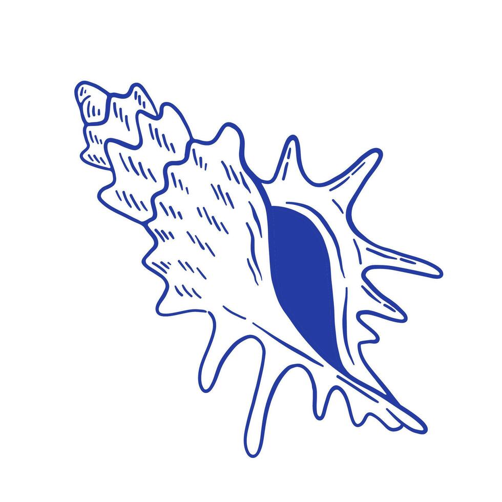 Hand drawn seashell illustration. Minimalist doodle sealife, line art style. vector