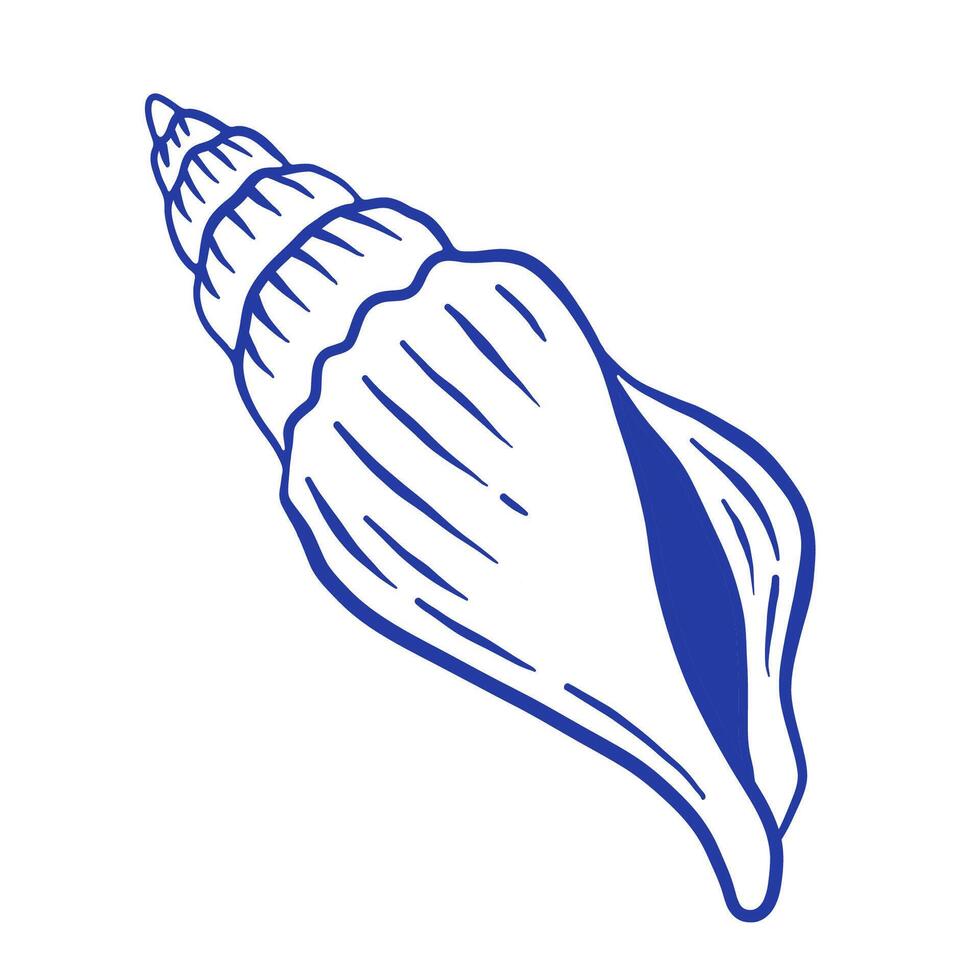 Hand drawn seashell illustration. Sea life mollusc icon. Summer Doodle style vector