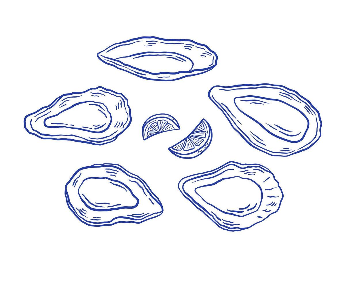 Set of hand drawn oyster with lemon illustration. Seafood mussel delicacy isolated on white background. La dolce vita Italian style. vector